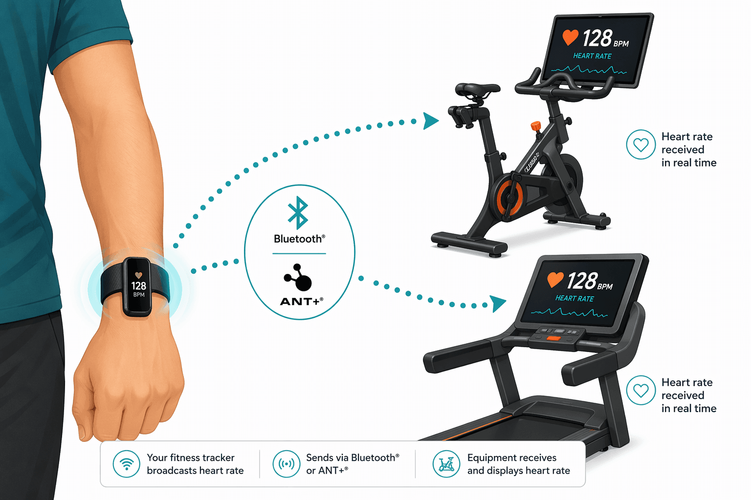 Diagram of a wrist wearing a slim fitness tracker with a glowing Bluetooth/ANT+ signal connecting to a Peloton bike and a treadmill showing a heart rate reading.