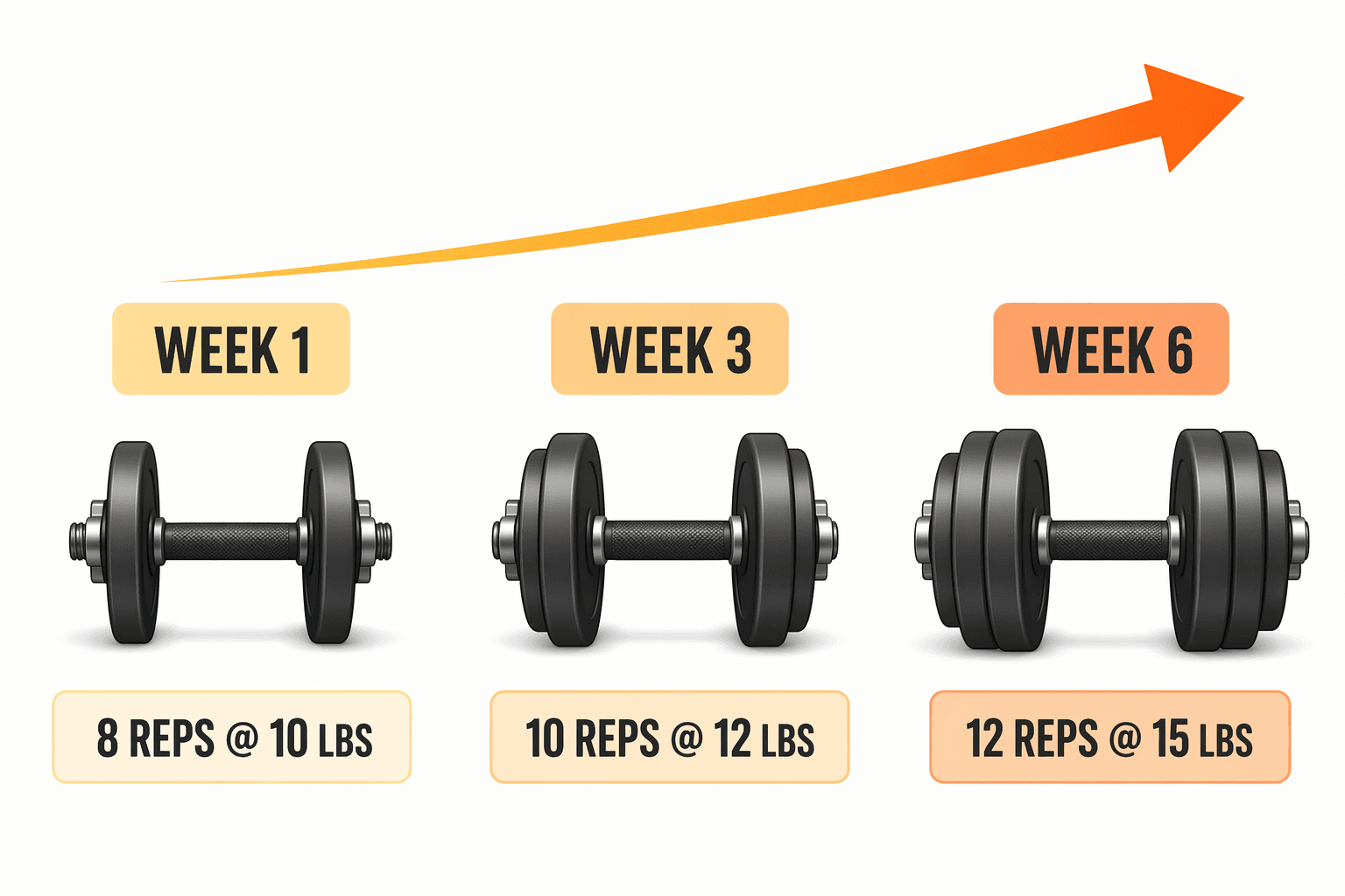 Three dumbbells in progression: Week 1 at 8 reps with 10 lbs, Week 3 at 10 reps with 12 lbs, Week 6 at 12 reps with 15 lbs, connected by an upward arrow.