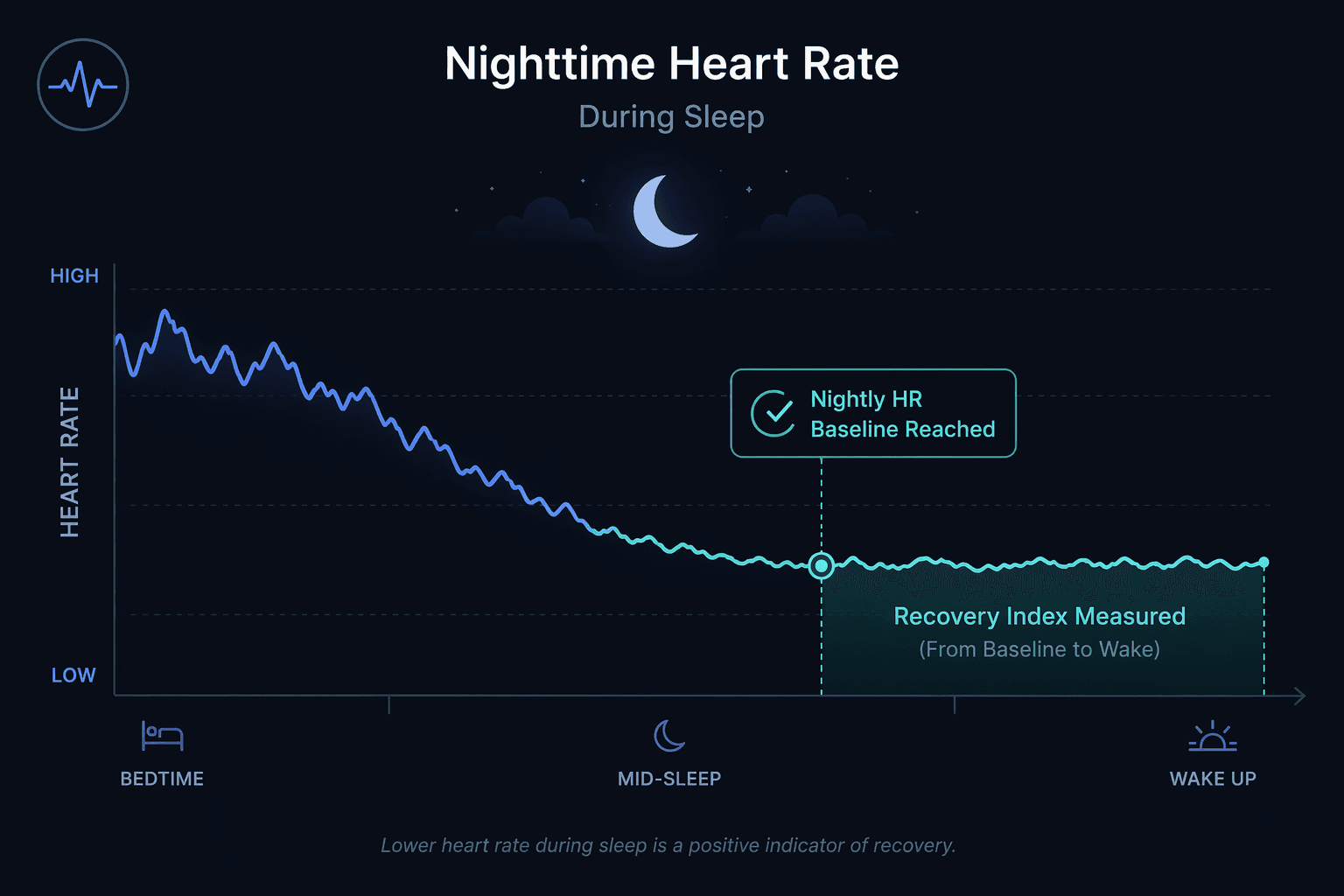 A nighttime heart rate graph with a descending line that plateaus at a baseline level, a vertical marker indicating 'Nightly HR Baseline Reached', and a shaded teal region marking the Recovery Index measurement period.