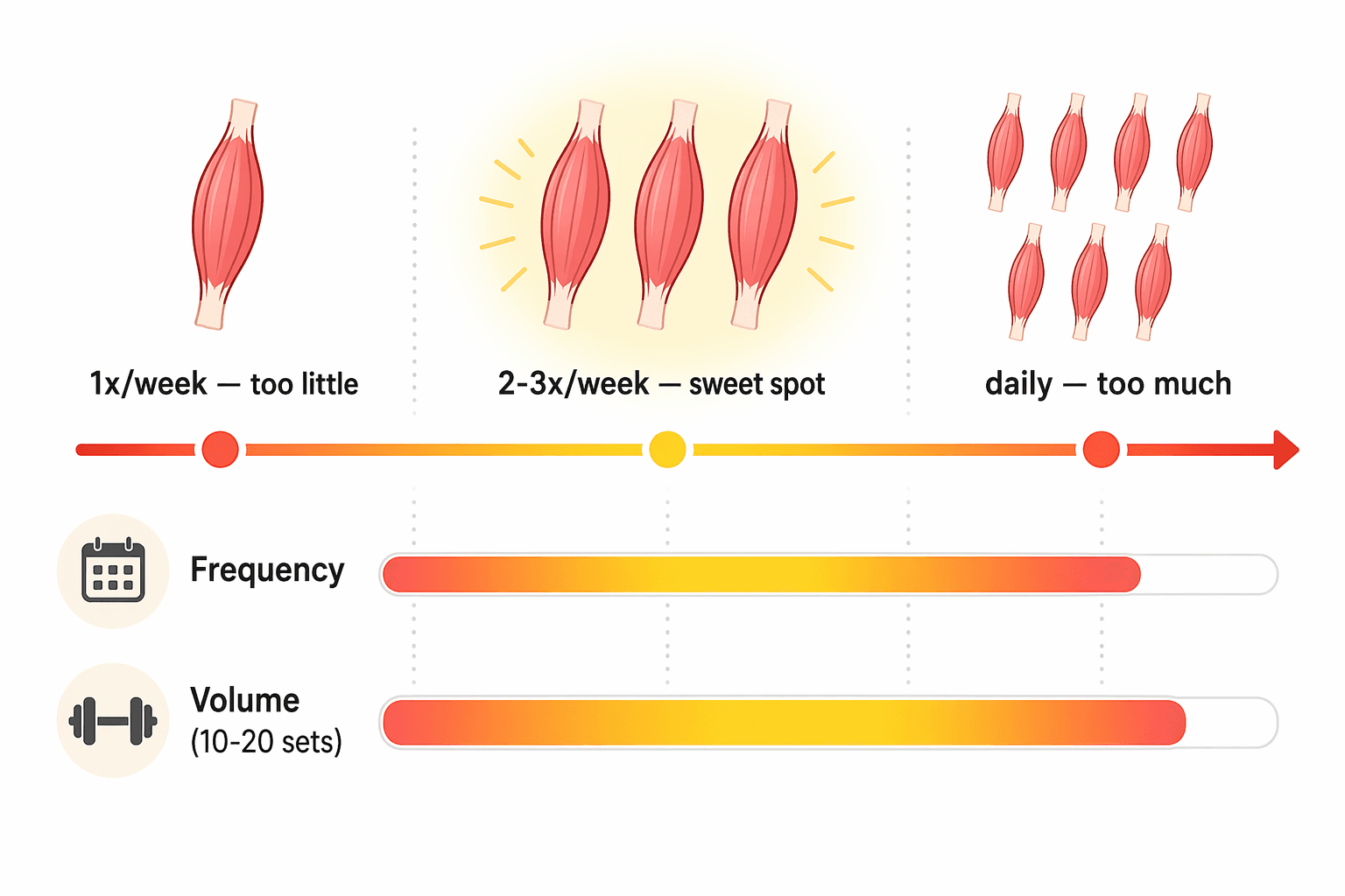 An infographic showing a horizontal frequency spectrum: a single leg icon on the left, three grouped and highlighted icons in the center, and multiple crowded icons on the right. Below are two progress bars labeled for frequency and volume, indicating that 2-3 sessions per week is the sweet spot.