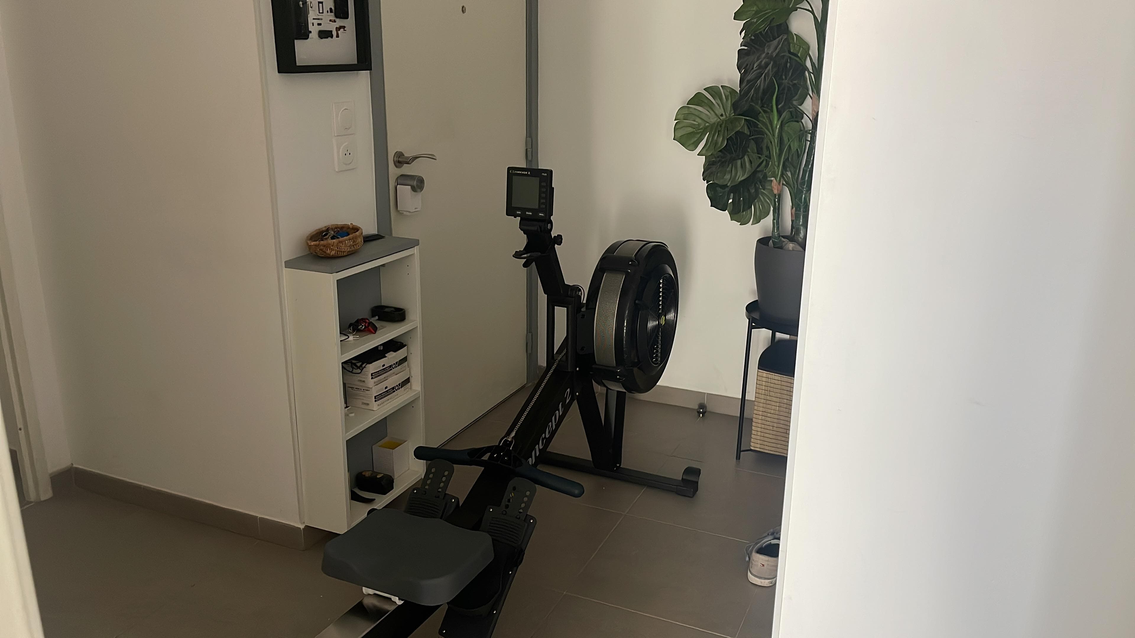 Concept2 RowErg stored vertically upright against a wall in a small apartment room