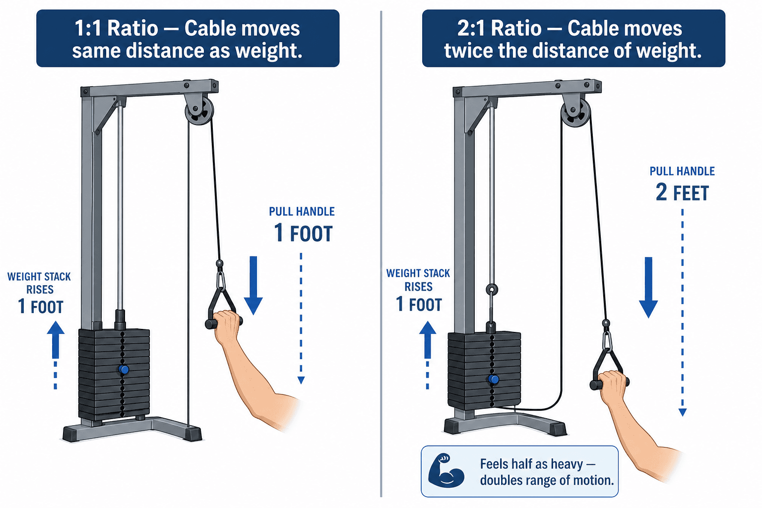 Split-screen flat vector diagram comparing 1:1 pulley ratio (left) showing a cable routed directly from handle to weight stack with arrows indicating equal distance movement, and 2:1 pulley ratio (right) showing a cable routed through an upper pulley with arrows indicating the handle moves twice the distance of the weight.