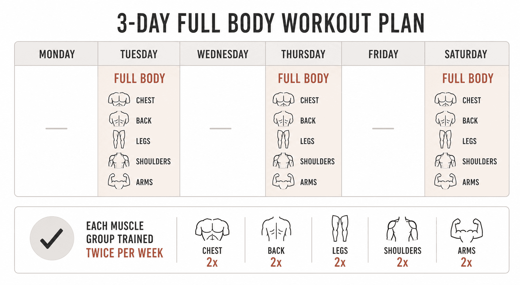 A minimalist editorial illustration of a weekly calendar grid with three highlighted workout days labeled 'Full Body,' each showing simplified muscle group icons (chest, back, legs, shoulders, arms) appearing twice across the week.