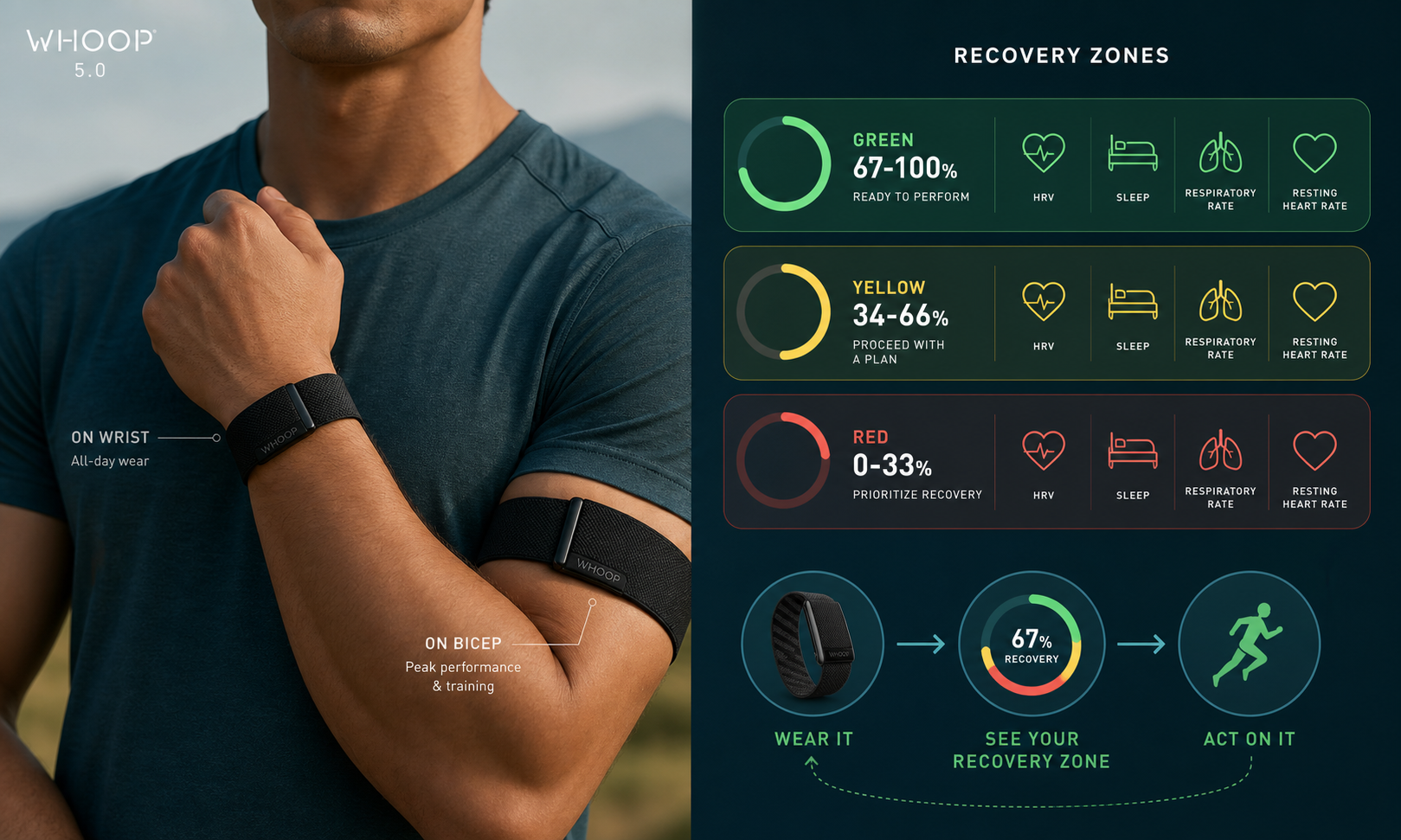 Split-scene editorial illustration: left side shows a Whoop 5.0 band on a wrist and a second Whoop on a biceps sleeve; right side shows three recovery zone bands in green, yellow, and red with small icons for HRV, sleep, respiratory rate, and resting heart rate.