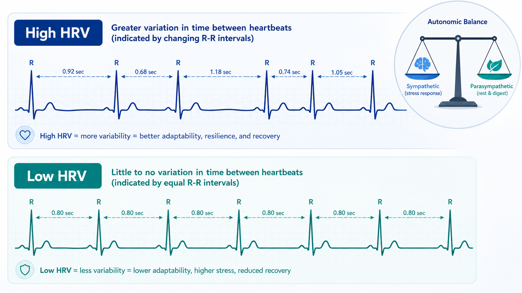 Educational comparison illustration showing two ECG heartbeat patterns: top section labeled 'High HRV' with visibly variable spacing between R-R intervals indicated by arrows of different lengths, bottom section labeled 'Low HRV' with uniform consistent spacing between beats shown by equal-length arrows, and a balance scale diagram in the top-right corner comparing sympathetic and parasympathetic nervous system branches.
