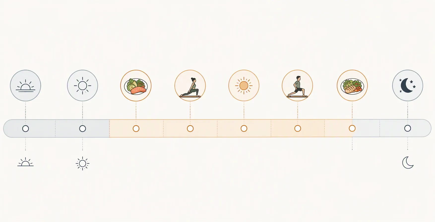 Timeline from 6am to 10pm with a highlighted 10am to 6pm eating window