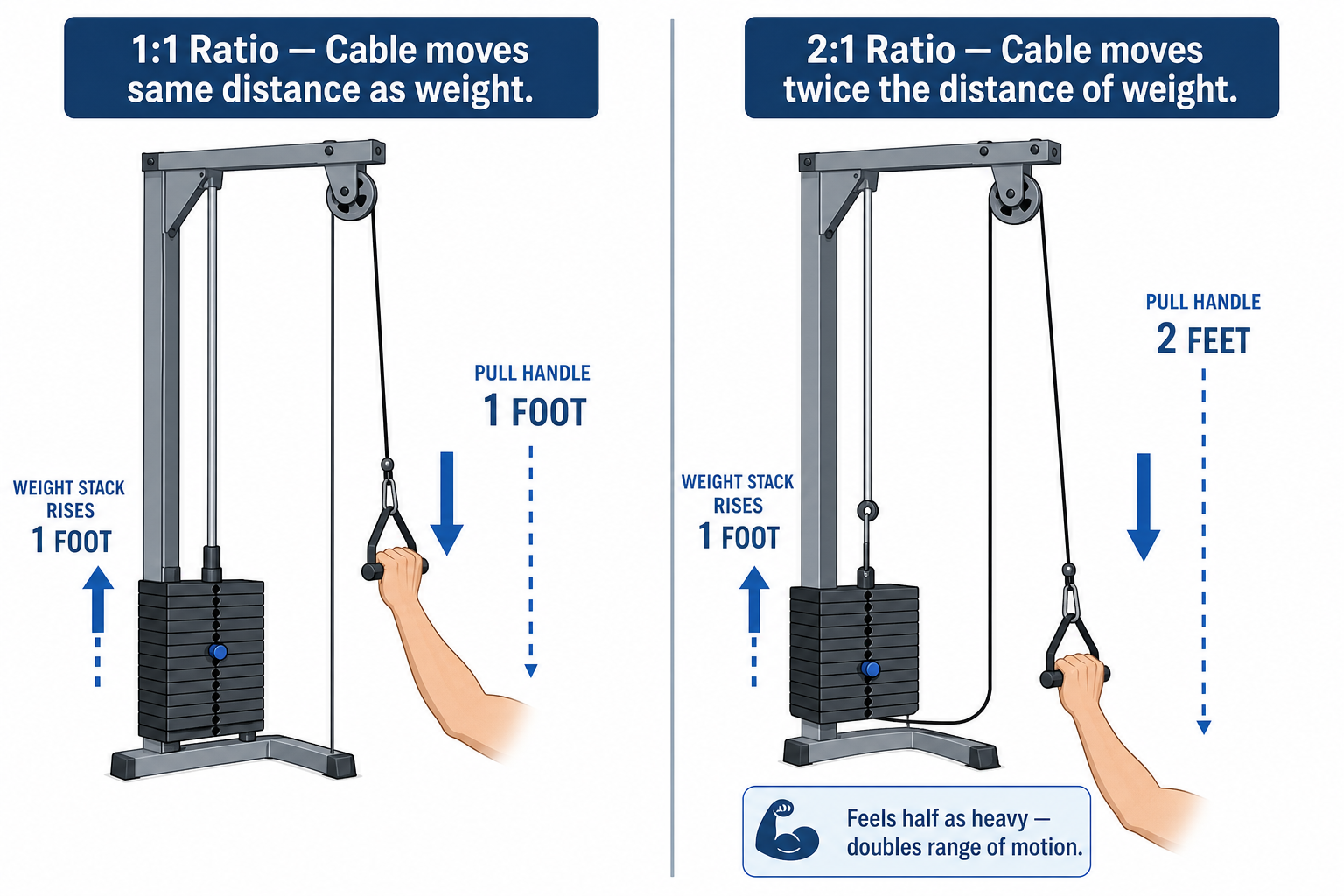 Split-screen flat vector diagram comparing 1:1 pulley ratio (left) showing a cable routed directly from handle to weight stack with arrows indicating equal distance movement, and 2:1 pulley ratio (right) showing a cable routed through an upper pulley with arrows indicating the handle moves twice the distance of the weight.
