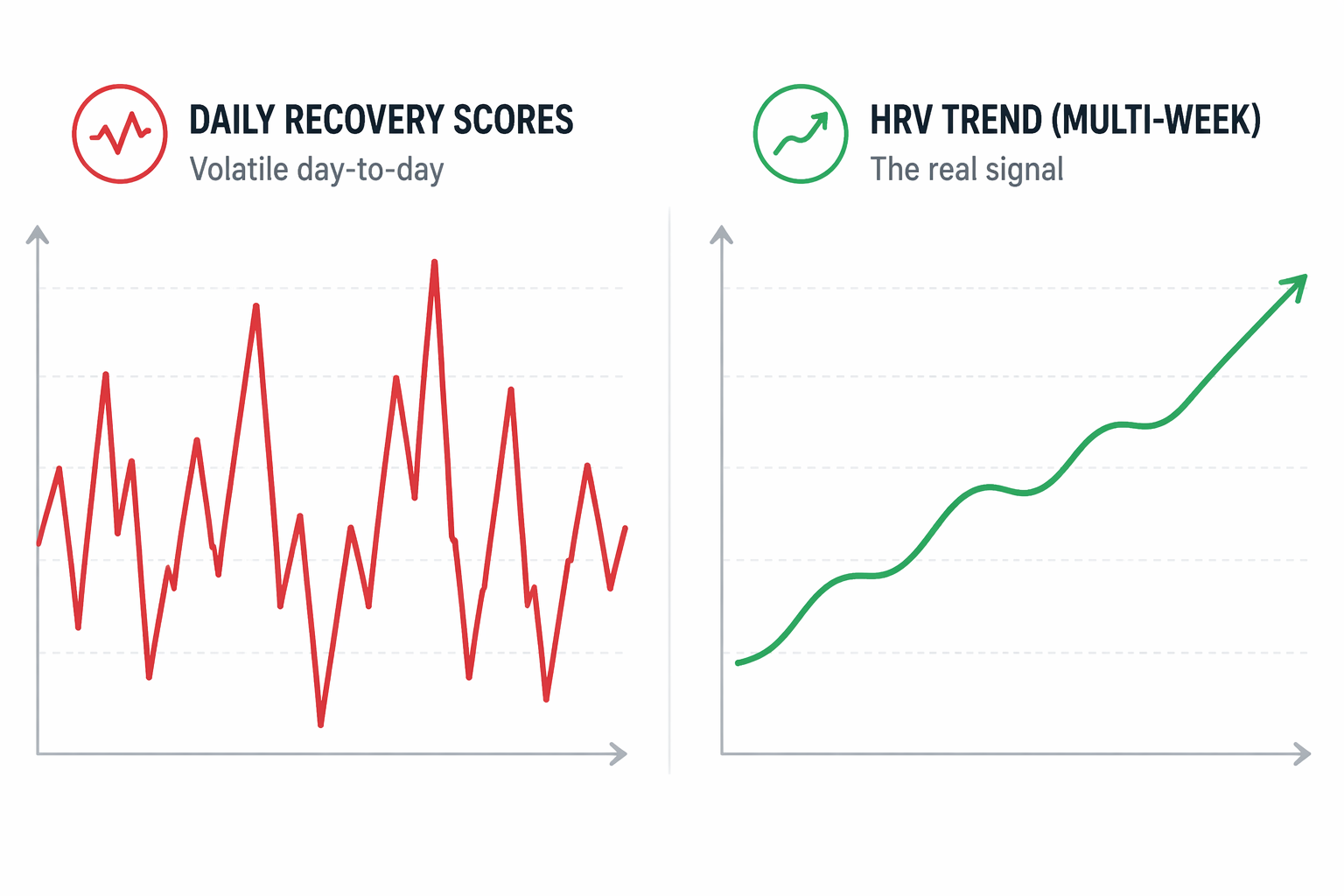 Daily recovery scores shown as erratic changes compared with a smoother multi-week HRV trend