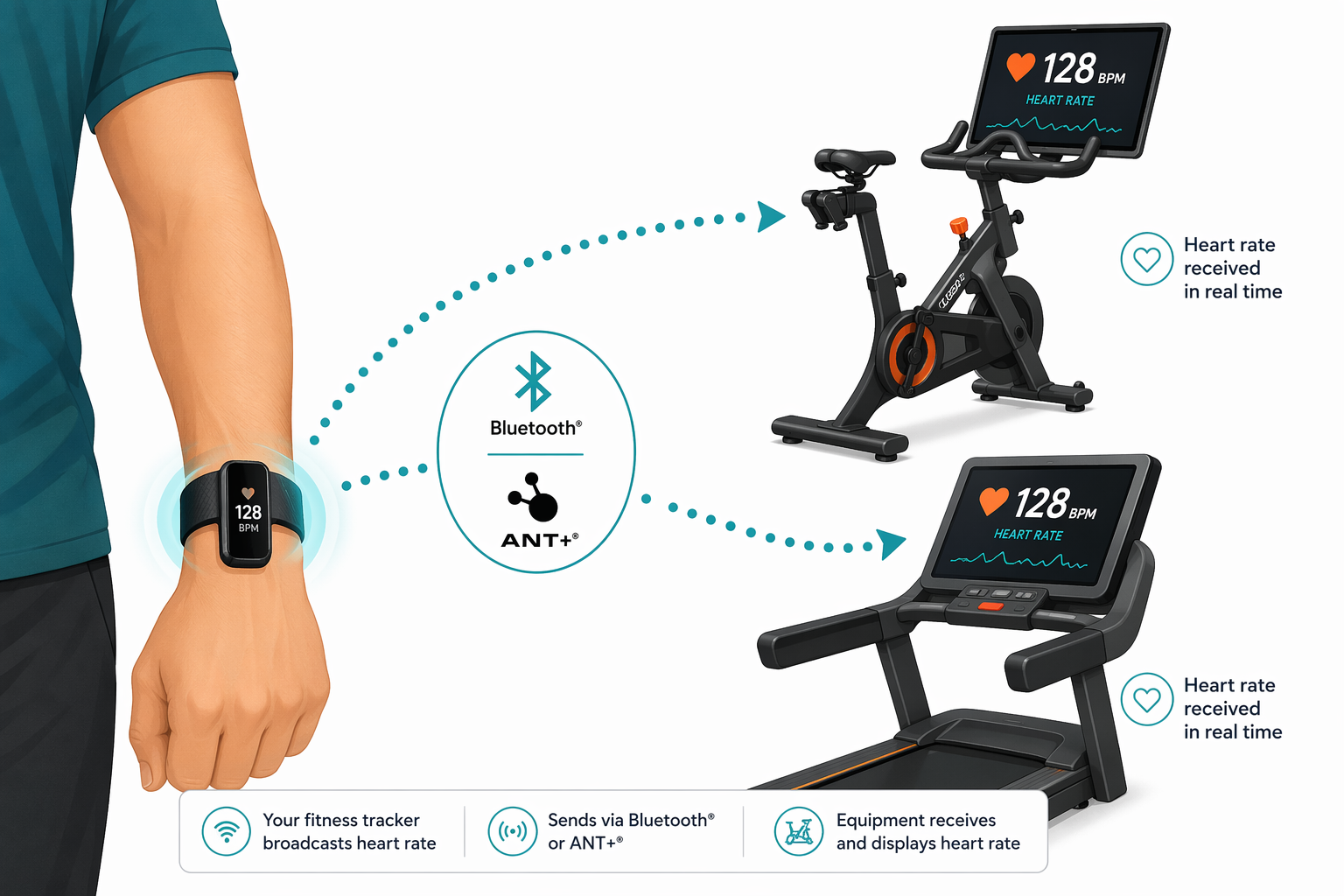 Diagram of a wrist wearing a slim fitness tracker with a glowing Bluetooth/ANT+ signal connecting to a Peloton bike and a treadmill showing a heart rate reading.