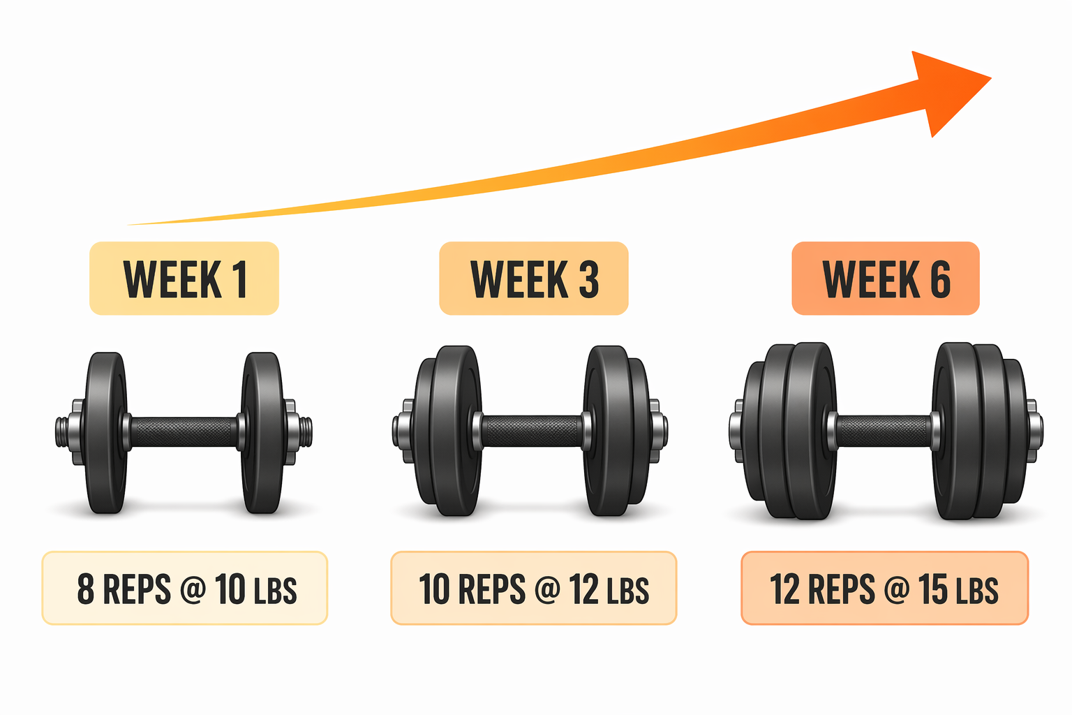 Three dumbbells in progression: Week 1 at 8 reps with 10 lbs, Week 3 at 10 reps with 12 lbs, Week 6 at 12 reps with 15 lbs, connected by an upward arrow.