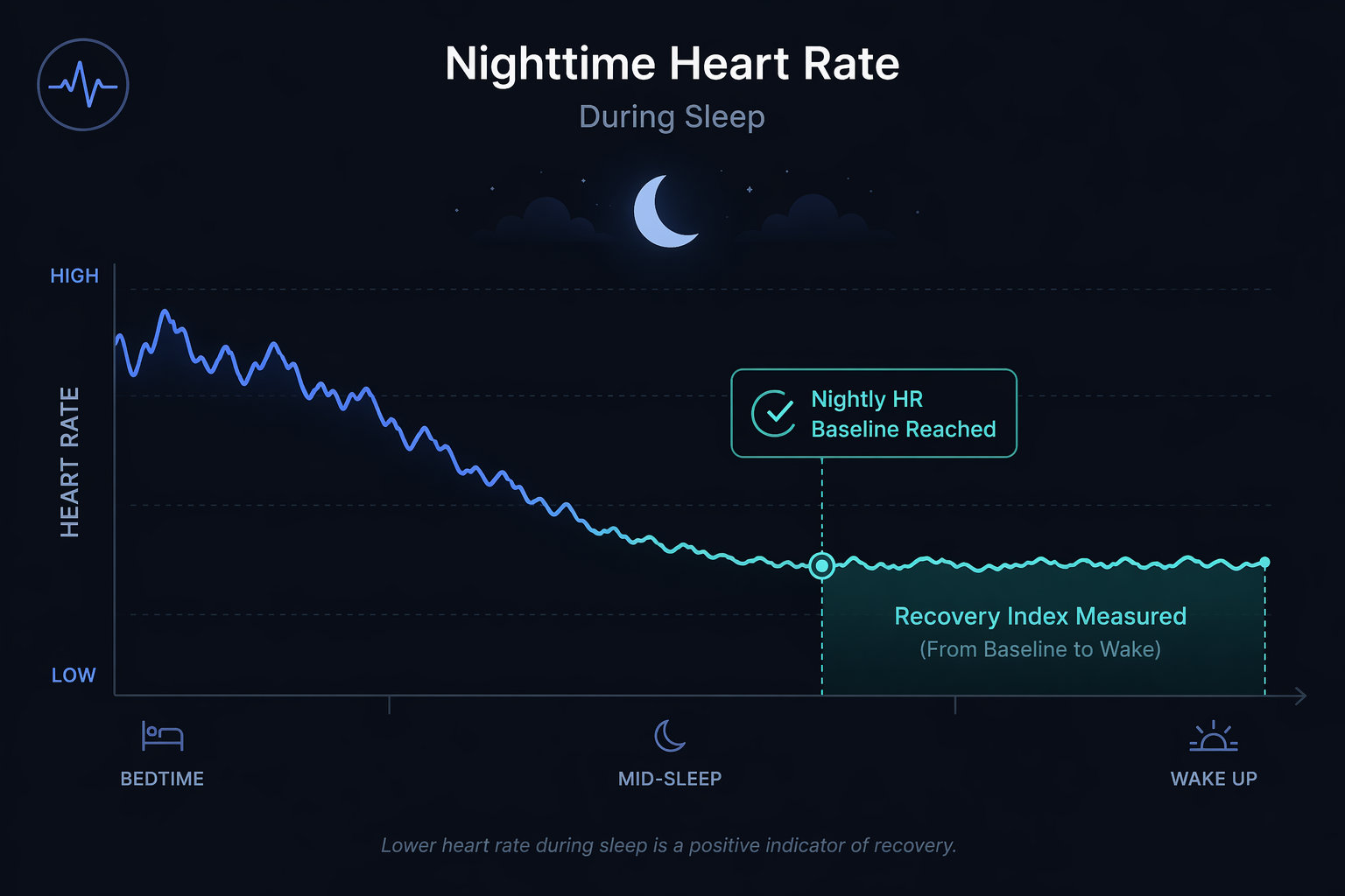 A nighttime heart rate graph with a descending line that plateaus at a baseline level, a vertical marker indicating 'Nightly HR Baseline Reached', and a shaded teal region marking the Recovery Index measurement period.