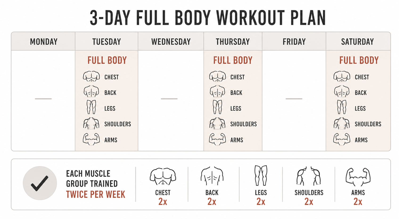 A minimalist editorial illustration of a weekly calendar grid with three highlighted workout days labeled 'Full Body,' each showing simplified muscle group icons (chest, back, legs, shoulders, arms) appearing twice across the week.
