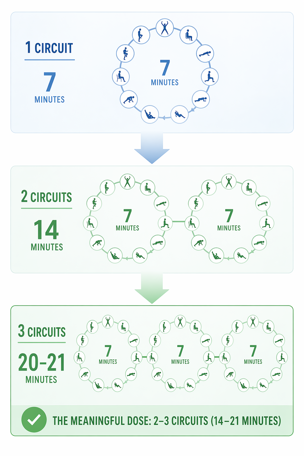 Progression from one 7-minute circuit to two and three circuits