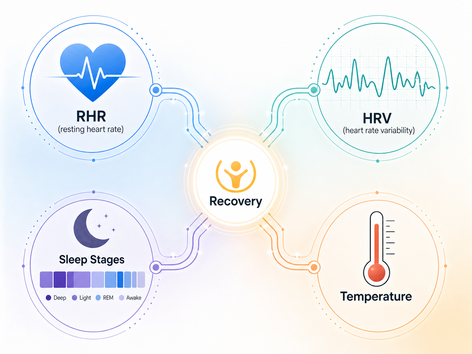 Editorial infographic showing four interconnected recovery metric icons—heart with pulsing line, waveform graph for HRV, crescent moon with sleep stage bars, and thermometer—converging toward a central glowing Recovery icon.