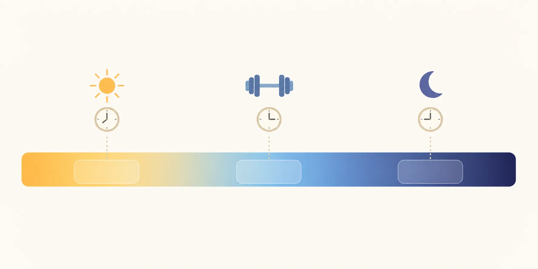Day divided into morning, afternoon, and evening workout windows