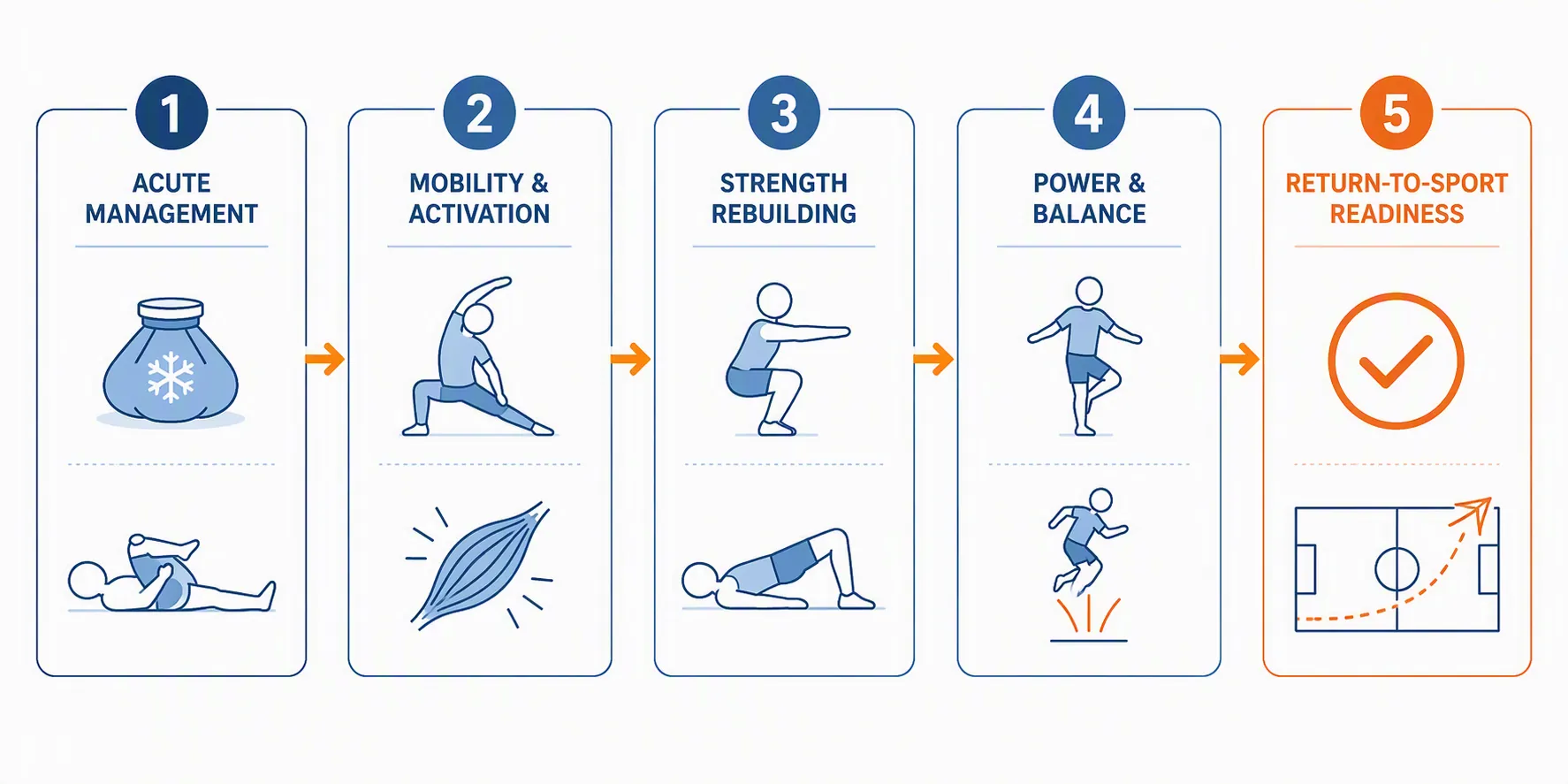 Five-phase workflow showing acute management, mobility and activation, strength rebuilding, power and balance, and return-to-sport readiness