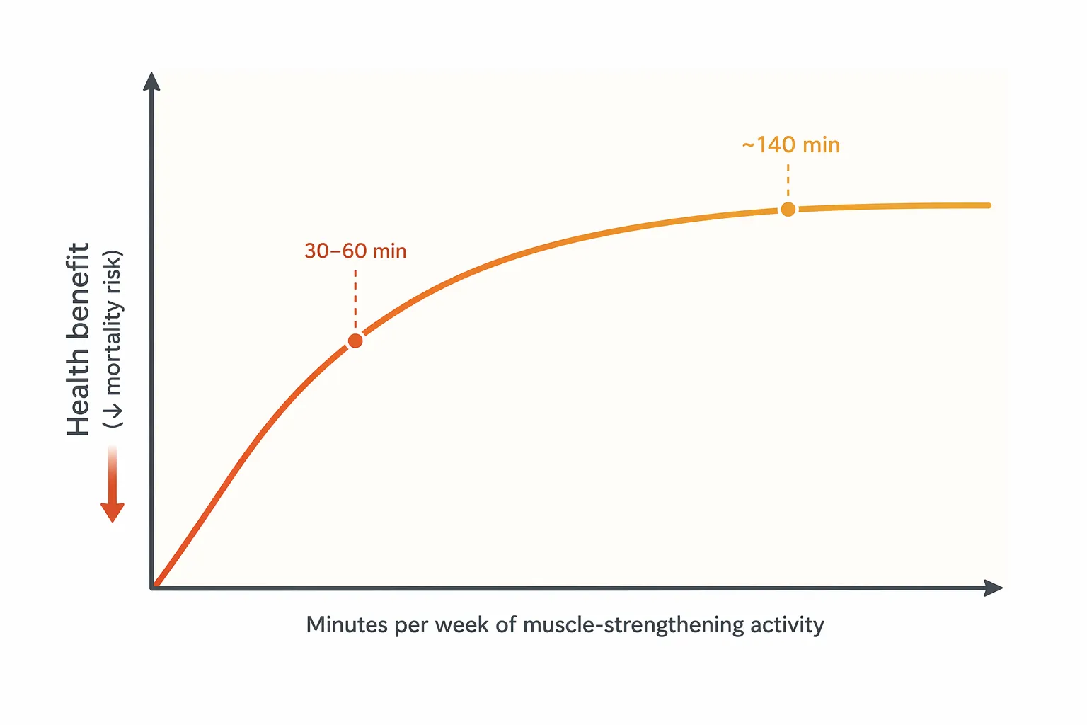 Editorial illustration of a dose-response curve rising to the 30 to 60 minute range and plateauing toward 140 minutes